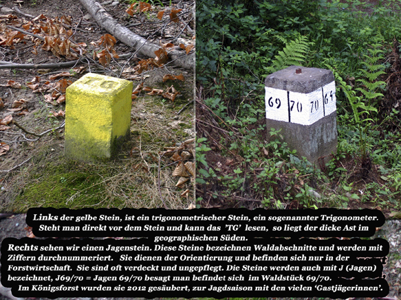 n_03_kö_tg-pt-gelb_2006.jpg