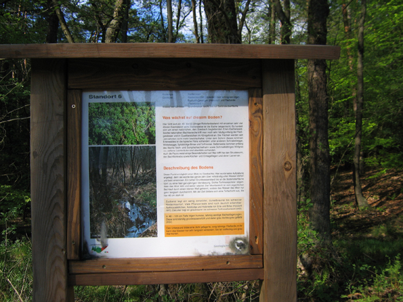 n_11_kö_J56_inf-gi-bach.jpg