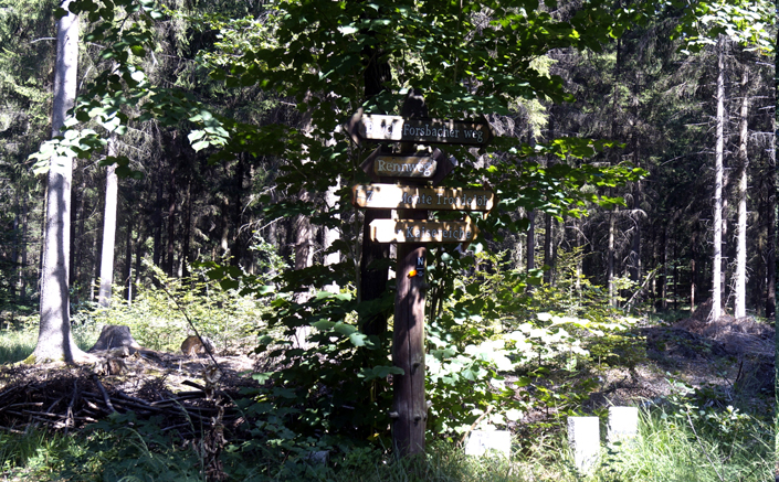 n_17_kö_J41-42a.jpg