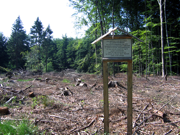 n_19_kö_J56_inf-wzelle.jpg