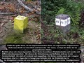 03_kö_tg-pt-gelb_2006.jpg