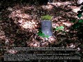 04_kö_J38-39_BP_2011.jpg