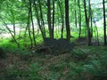 07_kö_J101_rest2_bhgeb.jpg
