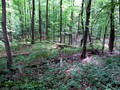 08_kö_J101_rest-bhf2.jpg
