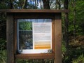 11_kö_J56_inf-gi-bach.jpg