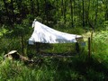 12_insek-zählen_2006.jpg