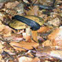14_kö_J100_hbuch-schneck.jpg