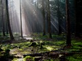 25_kö_J80_2005_sonebel.jpg