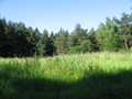34_kö_J92_stumpf_2005.jpg