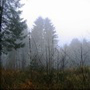 70_kö_J94_herbstnebel-3.jpg