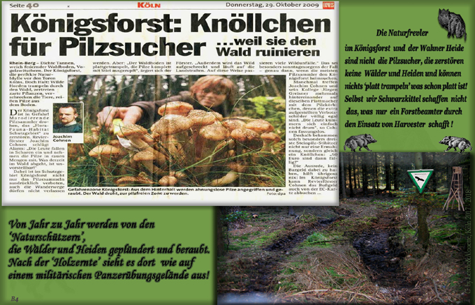 n_004b_pilze_frevel-4.jpg