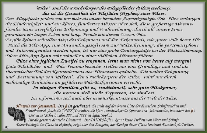 n_007_pilze_text-7.jpg