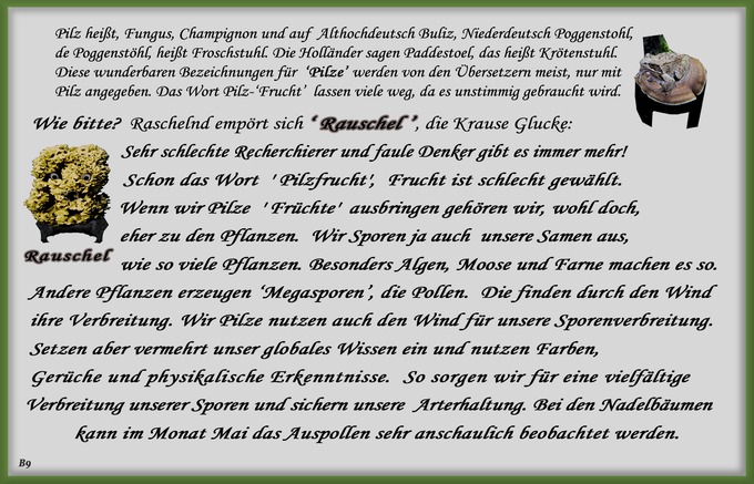 n_009_pilze_text-9.jpg