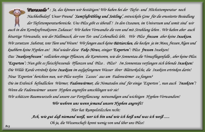 n_013_pilze_text-13.jpg