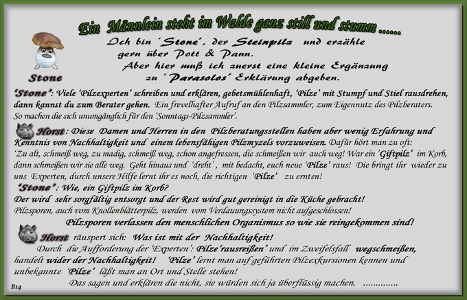 n_014_pilze_text-14.jpg