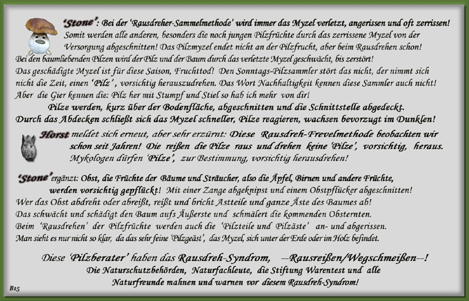 n_015_pilze_text-15.jpg