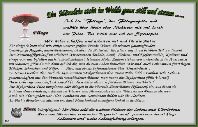 n_016_pilze_text-16.jpg