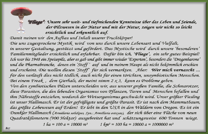 n_017_pilze_text-17.jpg