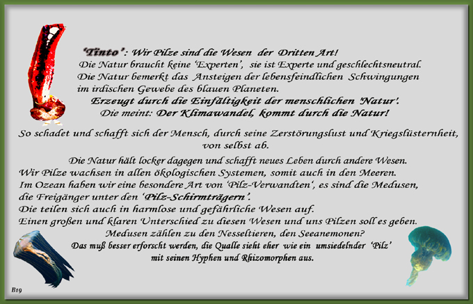 n_019_pilze_text-19.jpg