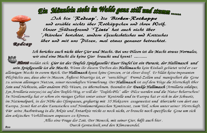 n_020_pilze_text-20.jpg