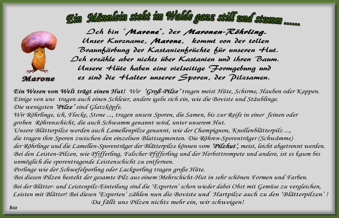 n_022_pilze_text-22.jpg