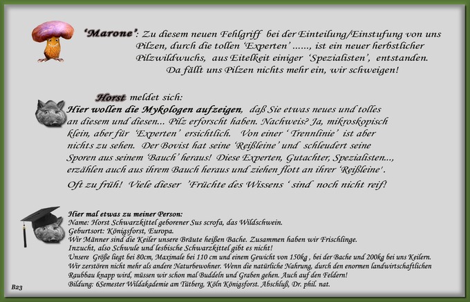 n_023_pilze_text-23.jpg
