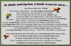 031_pilze_text-31.jpg