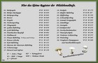 032_pilze_liste-32.jpg