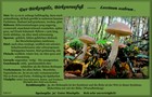 038_p01_bp6-6.jpg