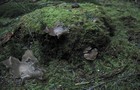 054_p05_ep2-4.jpg