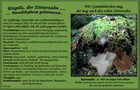 056_p05_ep4-4.jpg
