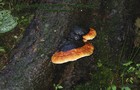 058_p06_fpo2-6.jpg