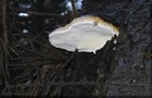 059_p06_fpo3-6.jpg