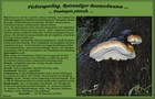 062_p06_fpo6-6.jpg
