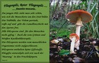 069_p07_fp7-15.jpg