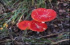 076_p07_fp14-15.jpg