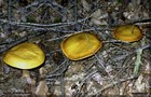 090_p09_gor3-4.jpg