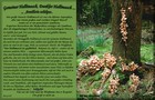 101_p11_ha5-9.jpg