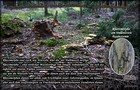 103_p11_ha7-9.jpg