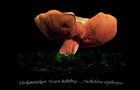 106_p12_fhr1-12.jpg