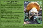 123_p12_nhr6-7.jpg