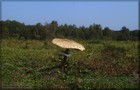 163_p17_par6-12.jpg