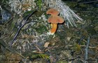 189_p19_pfr3-5.jpg