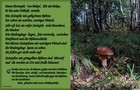 220_p24_stp6-17.jpg
