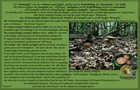 230_p24_stp16-17.jpg