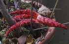 248_p27_tfp3-9.jpg