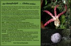 254_p27_tfp9-9.jpg