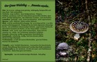 266_p29_wu5-6.jpg