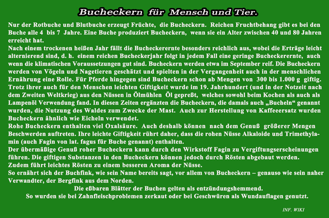 n_026_ecker-becher_9-2014.jpg