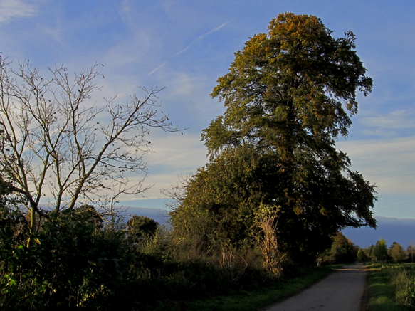 n_038_paulweg_17-10-2014.jpg